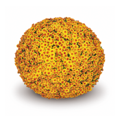 Baria Orange